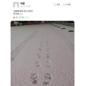 서울예대에 강시 있어? 무서워 ㅜㅜ