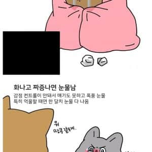 눈물 많은 울보 특징