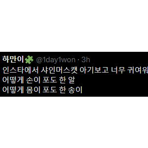 인스타에서 본 샤인머스캣 아기