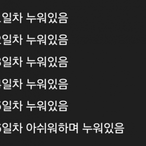 이번 설 연휴 요약