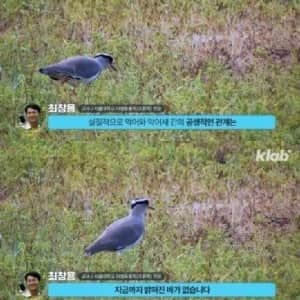 전세계 사람들이 잘못 알고 있는 상식