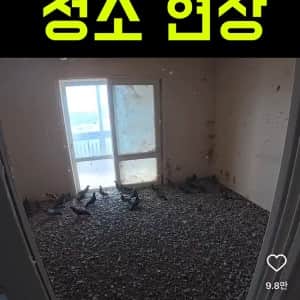 할 말을 잃게 만드는 역대급 청소 현장