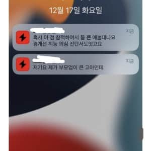 번개장터 네고요청 레전드