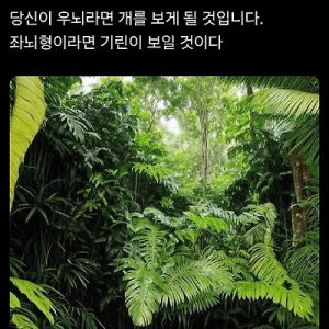 우뇌라면 "개"가 보이고 좌뇌라면 "기린"이 보임
