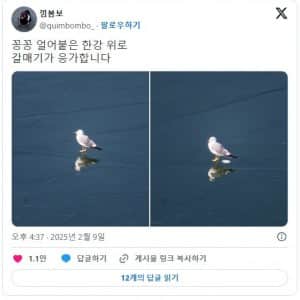 "꽁꽁 얼어붙은 한강 위로"