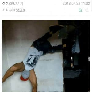 헬스갤러리 인증샷 레전드 모음