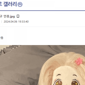 디시 여친인증 레전드  