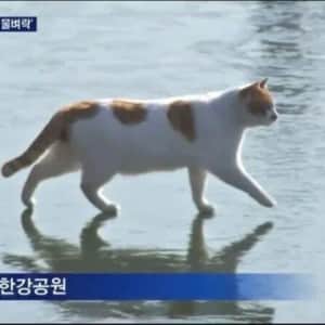 의외로 올겨울 아직 일어나지 않은 일
