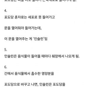 건강한 사람에게 당뇨가 찾아오는 과정 