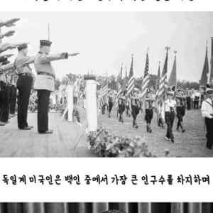 미국 사회에서 백인 서열