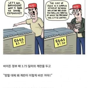 얼마전 유행하던 미국 계란 드립 근황