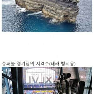 평소에 보기 정말 힘든 사진들 