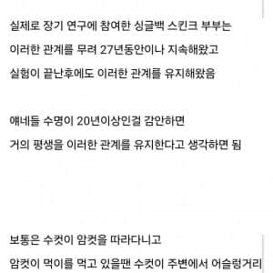완전 순애 그 자체인 동물 