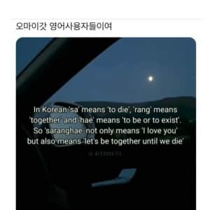 최근 해외 440만 조회수 찍은 한국어 짤