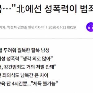 놀라운 북한의 강간 실태