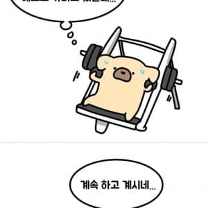 소심한 사람들 헬스장 특징
