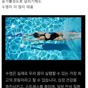 다이어트 할 때 무조건 수영하라고 하는 이유