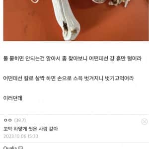 송이버섯 처음 손질해본 사람