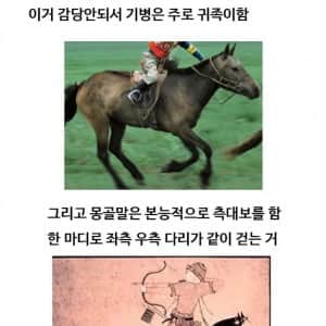 볼품 없어보이는 몽골말