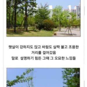 요즘 잼민이들이 모르는 그 시절 토요일