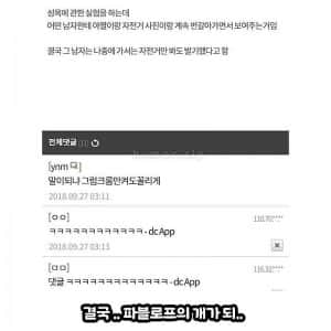 인간 성욕에 관한 실험 
