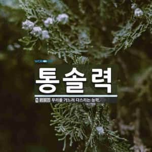 능력만 따지면 웹소설 먼치킨 주인공인 인물 
