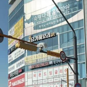 최근만 신호위반 해도 안 걸리는 도로