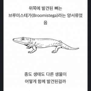 2억년전의 기묘한 운명