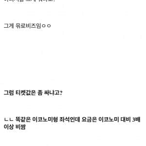 이코노미 시트 깔고 비즈니스라고 우기는 유럽항공사들