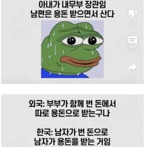 한국사람이 결혼과 출산을 포기하는 과정