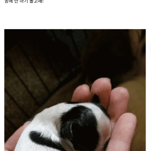 응애 난 애기 어쩌고 저쩌고 