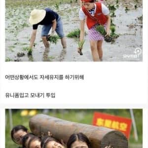 중국 여자 승무원 양성 교육 과정 