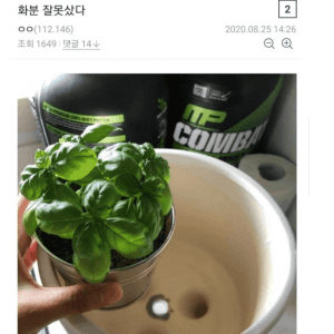 의외로 보는 재미 쏠쏠하다는 디씨 갤러리 