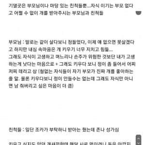 MZ세대 견주가 개 파양하는 패턴 