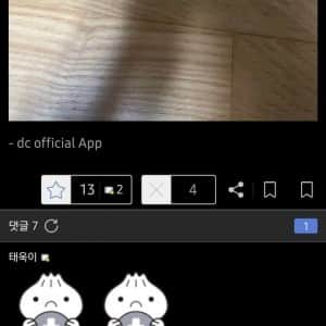 최근 새벽 난리난 디시 실탄 인증