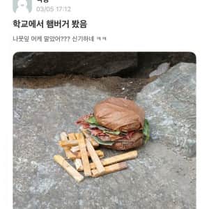 홍익대 나뭇잎 햄버거의 정체 