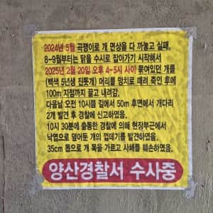 글만 읽어도 소름) 양산경찰서 수사중 
