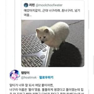 시골 할아버지가 산에서 주운 강아지의 반전