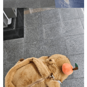 맘에 드는 가방을 산 웃대인 ㅋㅋㅋ 