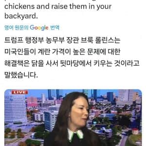 미국 농무부장관이 밝힌 계란값 내리는 법