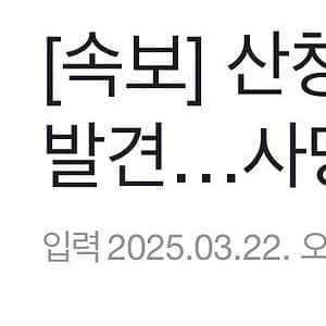 역대급 산불 기사 씁쓸한 베댓 
