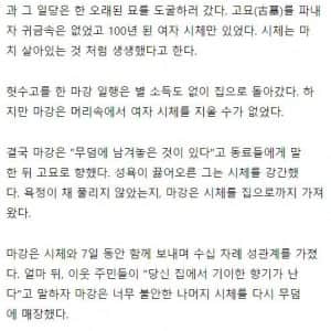 공포) 미라와 성관계를 하면 안되는 이유 