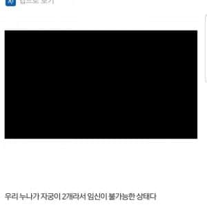 매형이 여동생한테 임신 대리 부탁해서 감방간 디시인 