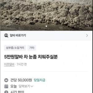 5만원짜리 당근 아르바이트 논란