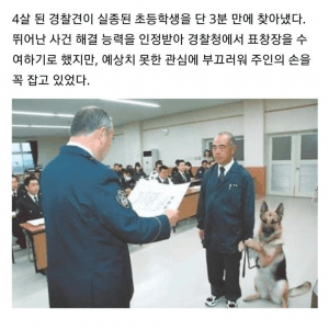 지나친 관심에 낯가리는 경찰견