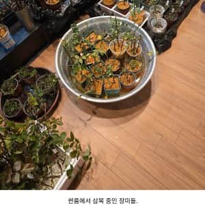 시골 집 크게 짓지 마세요 