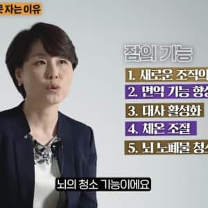 잠을 잘 자는 게 진짜 보약인 이유