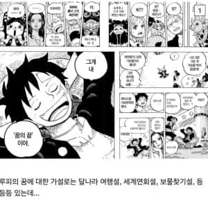 원버갤에서 추측한 "루피의 꿈"