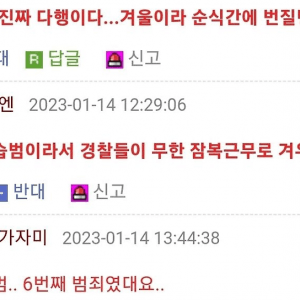 부산 생태공원에 불지른 방화범 검거 현장 ㄷ