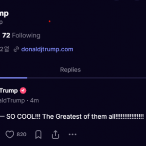 어질어질 트럼프코인 근황 